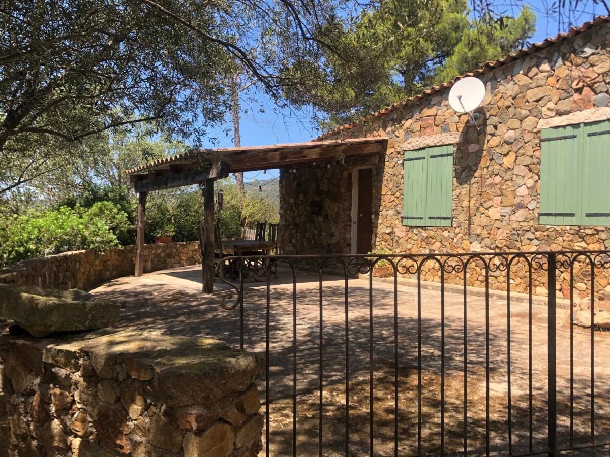 Maison De Campagne Sarragia ภายนอก รูปภาพ