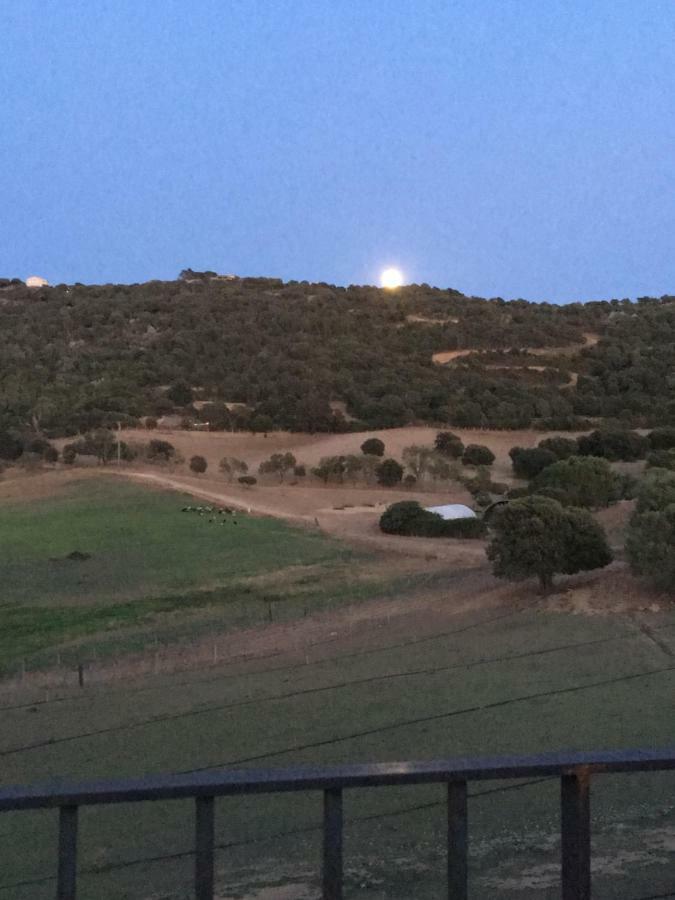 Maison De Campagne Sarragia ภายนอก รูปภาพ
