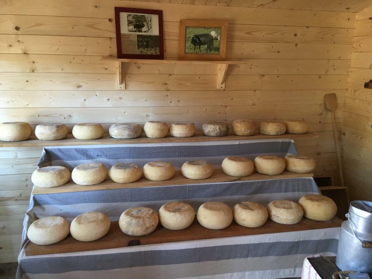 Maison De Campagne Sarragia ภายนอก รูปภาพ